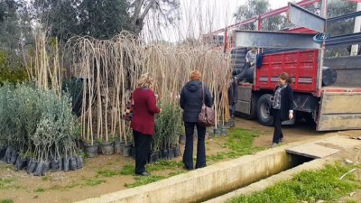 Meyve Fidanlari Yagmur Botanik Ve Fidancilik Izmir