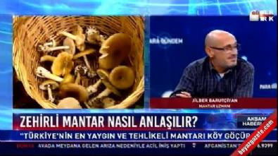 Zehirli mantar nasÄ±l anlaÅÄ±lÄ±r?