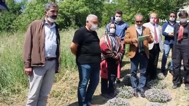rize nin ikizdere ilcesinde dag kekigi hasadina baslandi